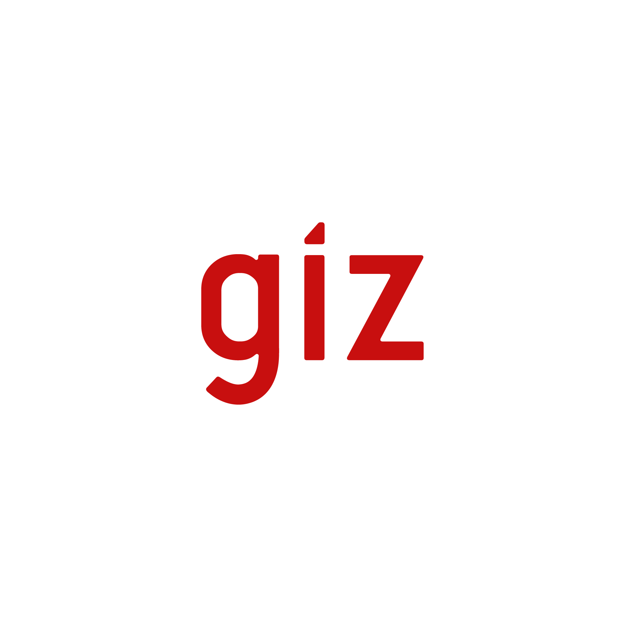 GIZ SSO login logo